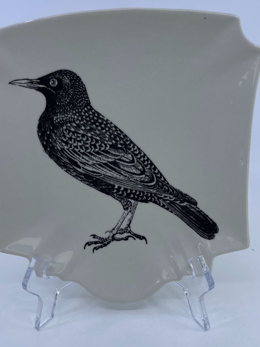 vintage creative coop decorative ceramic plate with starling illustration